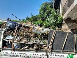 Best Hoarding Cleanup  in Woodcreek, TX